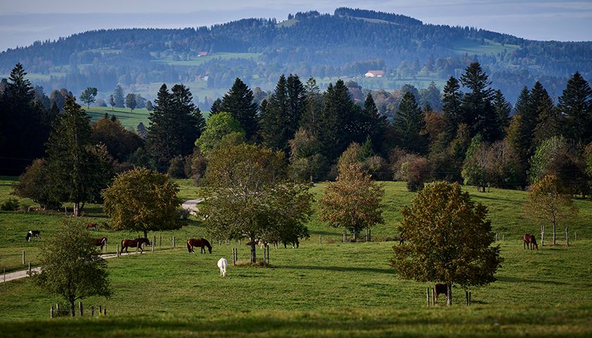 Maison Rouge - Votre visite - jumpbox AG